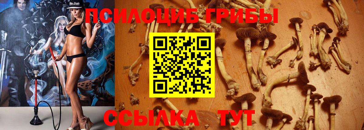 Псилоцибиновые грибы ЛСД Таганрог